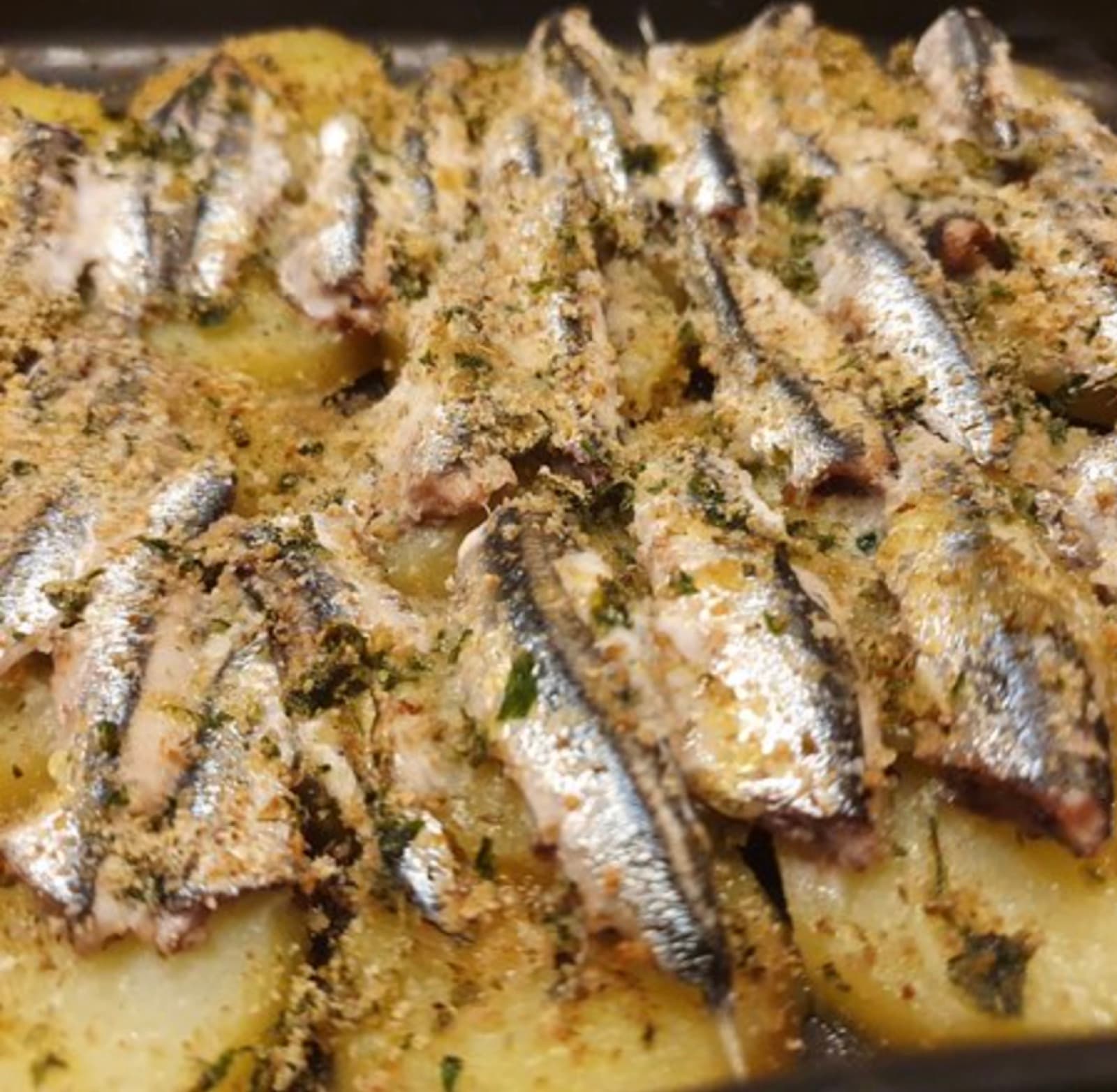 Ligurian Anchovies â Mangia Genovese